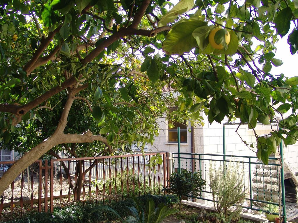 Apartment Davor Gradac  Habitación foto